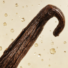 Aroma de Vainilla