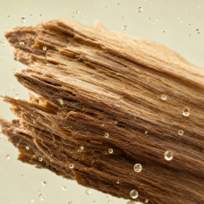 Aroma de humo de haya