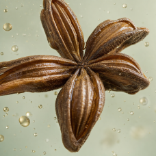 Aroma de Rakia de anís