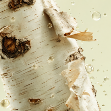 Aroma de jugo de abedul