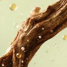 Aroma de Cola