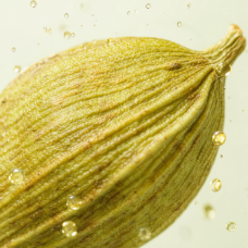Aroma de Postre "Ferene"