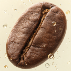 Aroma de Café