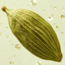 Aroma de Té Masala