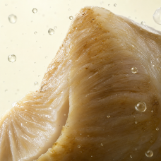 Aroma de pescado
