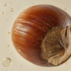 Aroma de Castaña