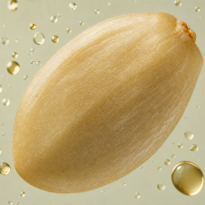 Aroma de Sésamo