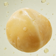 Aroma de Macadamia