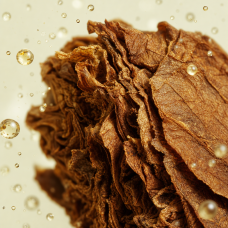 Aroma de tabaco "Burley"