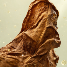 Aroma de tabaco "Caribes"