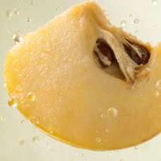 Aromatizante Membrillo