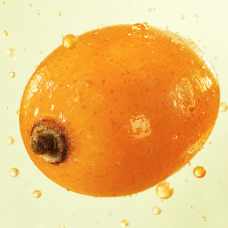 Aroma de espino amarillo