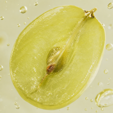 Aroma de Uva