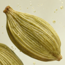 Aroma de Cuento de Invierno