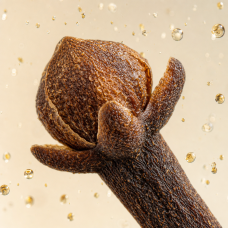 Aroma de Mezcla de especias