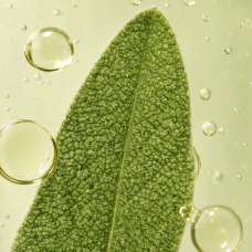 Aroma de Hierbas
