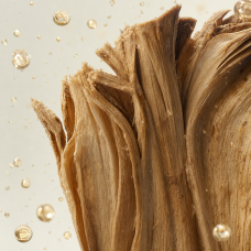 Aroma de Tequila