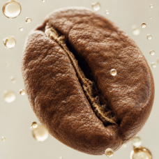 Aroma de Tiramisú