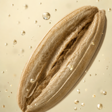 Aroma de pan de centeno