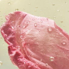 Aroma de Mermelada de Rosa