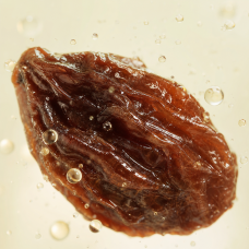 Aroma de Uva pasas
