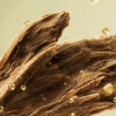 Aroma de Logánica