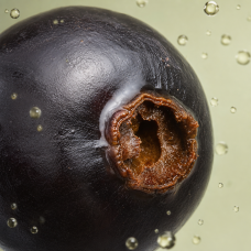 Aroma de grosella negra