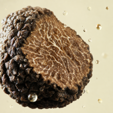 Aroma de trufa con nueces