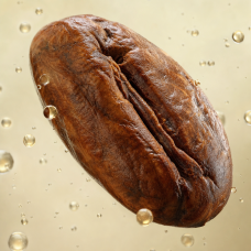 Aroma de Chocolate