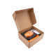 Kit Cabezal Extrusor y Hotend Elegoo OrangeStorm Giga