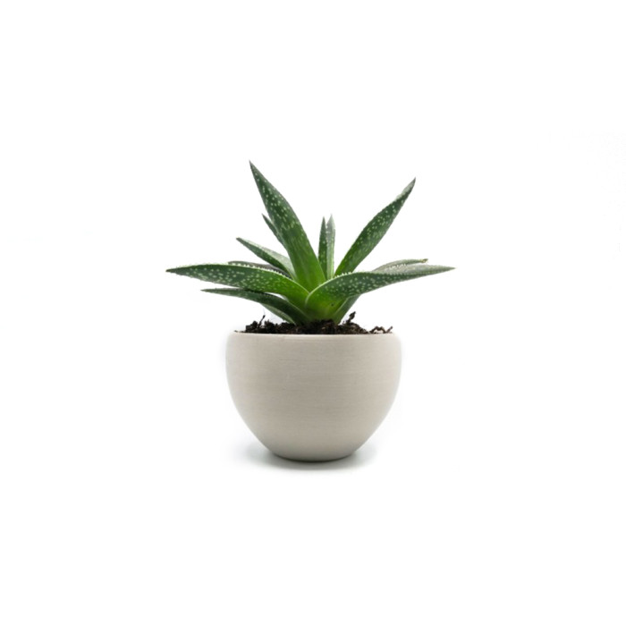 Filaflex Purifier Recreus Mineral