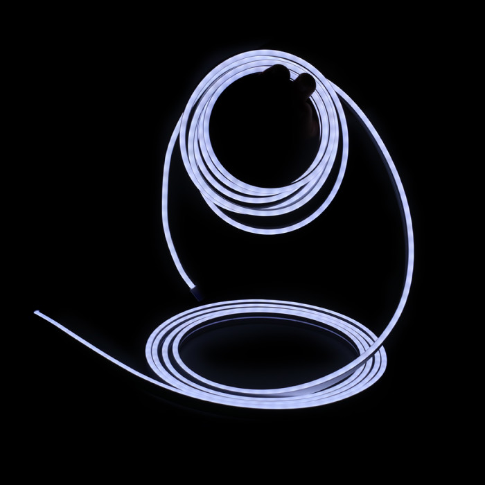 Luces LED Neon Flex Blanco 5/10 m con adaptador