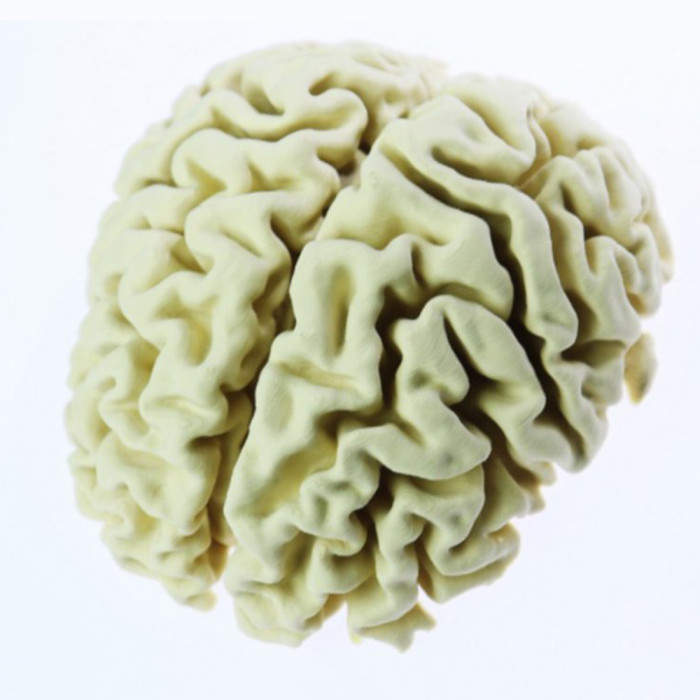 PLA Extrafill Fillamentum Light Ivory 1,75 mm