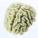 PLA Extrafill Fillamentum Light Ivory 1,75 mm