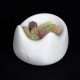 PLA Prusament Pristine White 1,75 mm (Blanco)