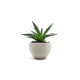 PLA Purifier Recreus Mineral