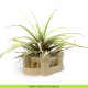 PLA HD Winkle Texture Arena (Desert Sand) 1,75 mm