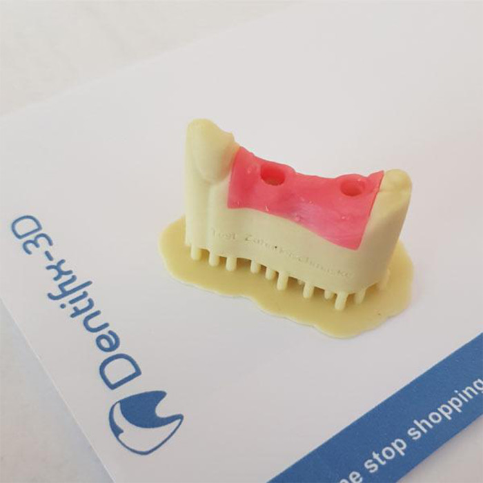 Resina Fun To Do Dentifix 3D Gingiva HR