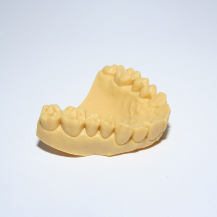 Resina Fun To Do Arena Dentifix 3D Modelos Dentales HR 1L