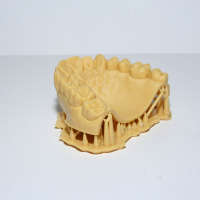 Resina Fun To Do Arena Dentifix 3D Modelos Dentales HR 1L