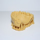 Resina Fun To Do Arena Dentifix 3D Modelos Dentales HR 1L
