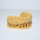 Resina Fun To Do Arena Dentifix 3D Modelos Dentales HR 1L