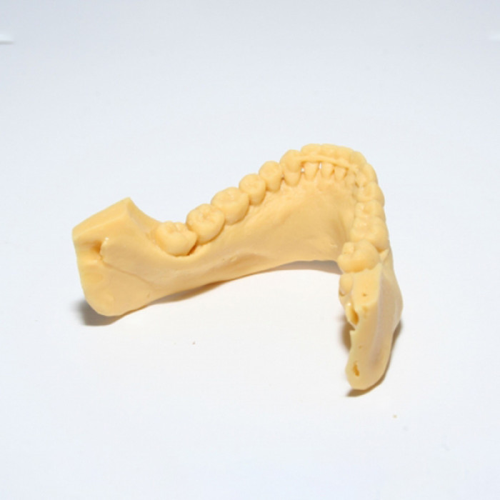 Resina Fun To Do Arena Dentifix 3D Modelos Dentales HR 1L