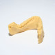 Resina Fun To Do Arena Dentifix 3D Modelos Dentales HR 1L