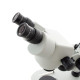 Estereomicroscopio binocular trinocular L90 zoom 0.7X-4.5X iluminación LED incidente y transmitida