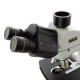 MICROSCOPIO BIOLÓGICO SUPERIOR QUANTUM BM