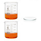 Vaso de precipitados forma baja borosilicato 3.3 con vidrio de reloj KENZIUM
