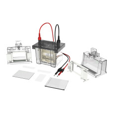 Sistema de Electroforesis Vertical Volt V80 doble gel 8,3 x 7,3 cm platino 99,99%