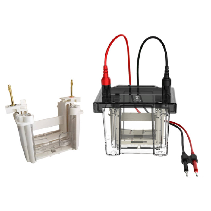 Sistema de Electroforesis Vertical Volt V80 doble gel 8,3 x 7,3 cm platino 99,99%