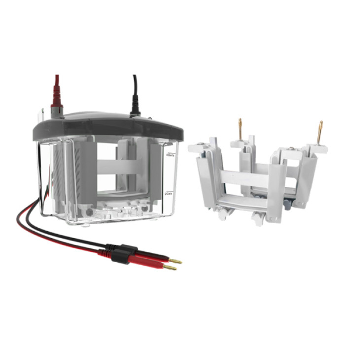 Sistema de Electroforesis Vertical Volt VX80 para PAGE y SDS-PAGE